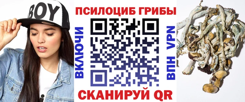 Галлюциногенные грибы мухоморы Осташков