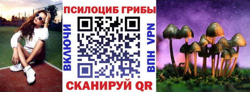 сколько стоит  Осташков  MEGA зеркало  Галлюциногенные грибы мицелий 
